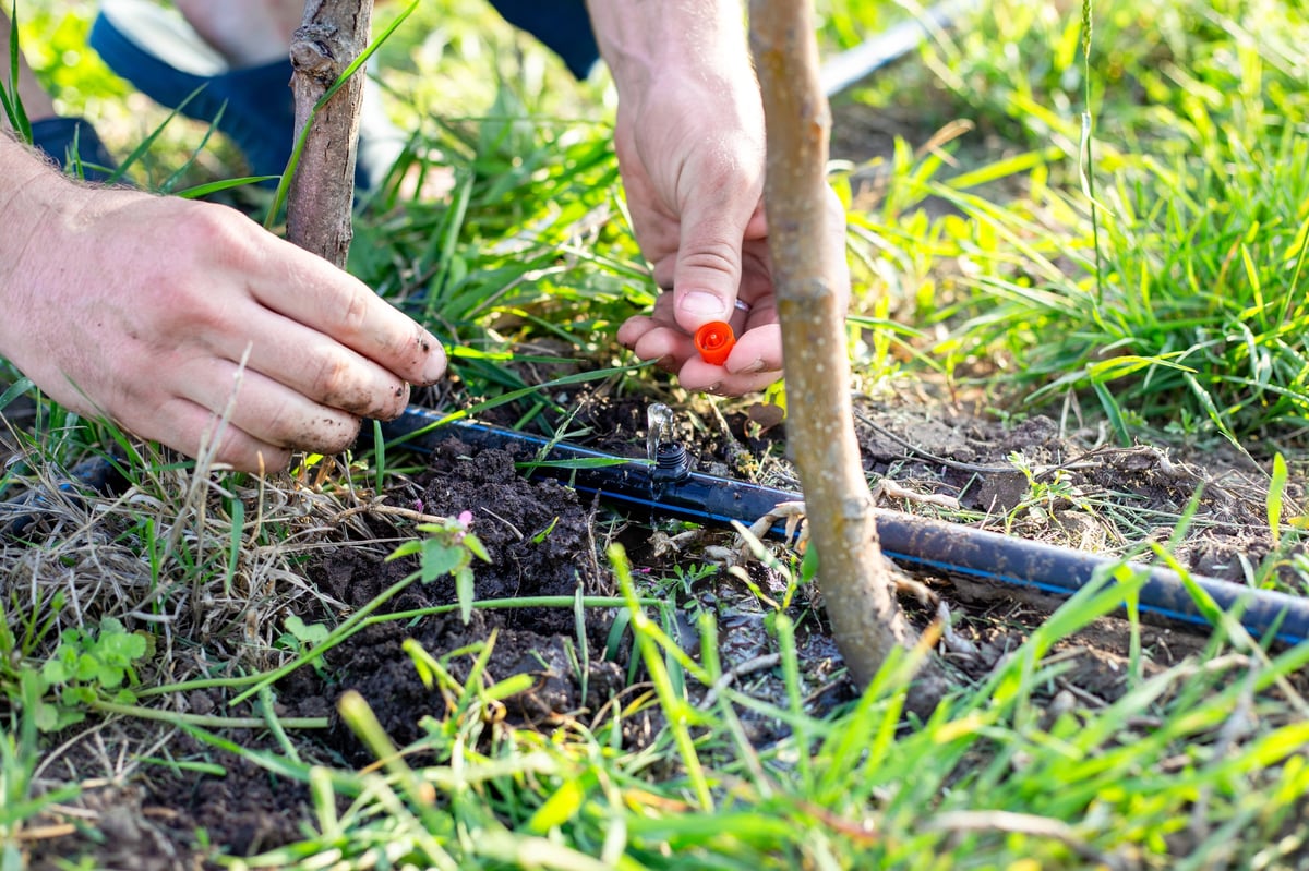 Impianto irrigazione giardino professionale