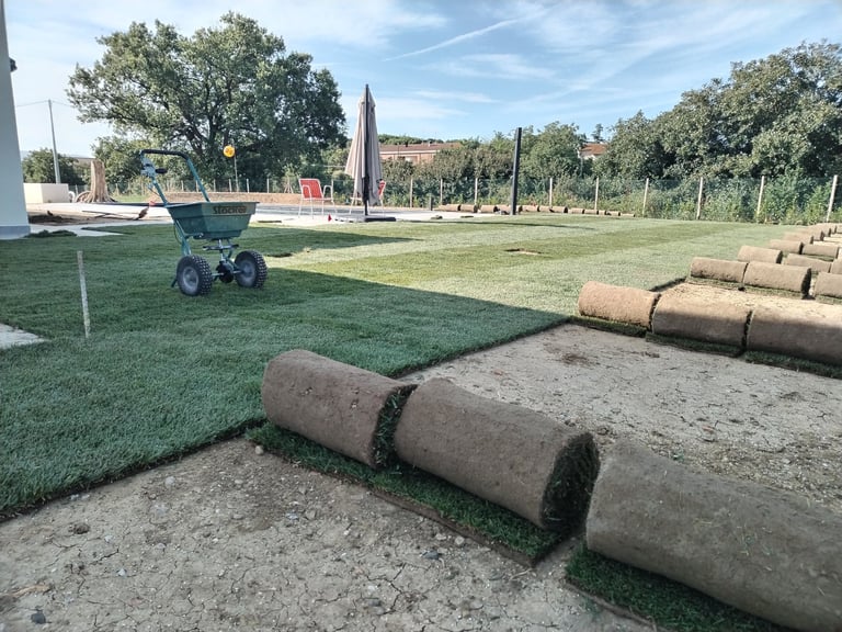 Rotoli di prato a rotoli appoggiati a terra con attrezzatura blu e alberi