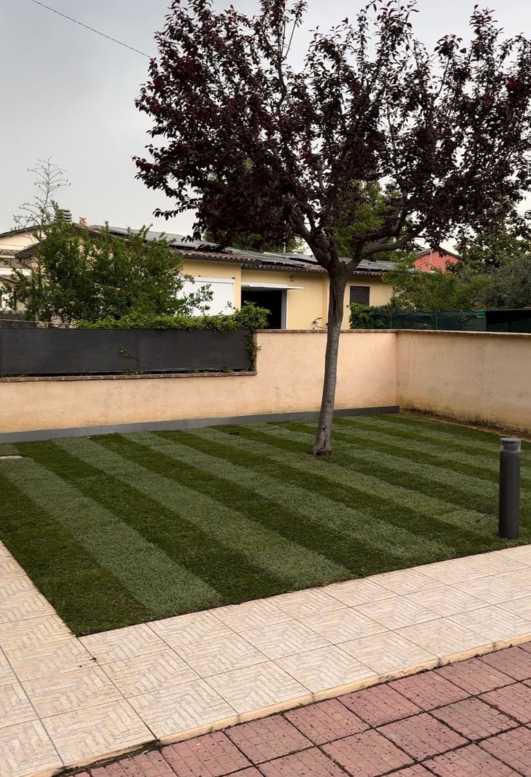 Giardino residenziale con prato verde rigato, grande albero maturo, muri beige e patio pattern