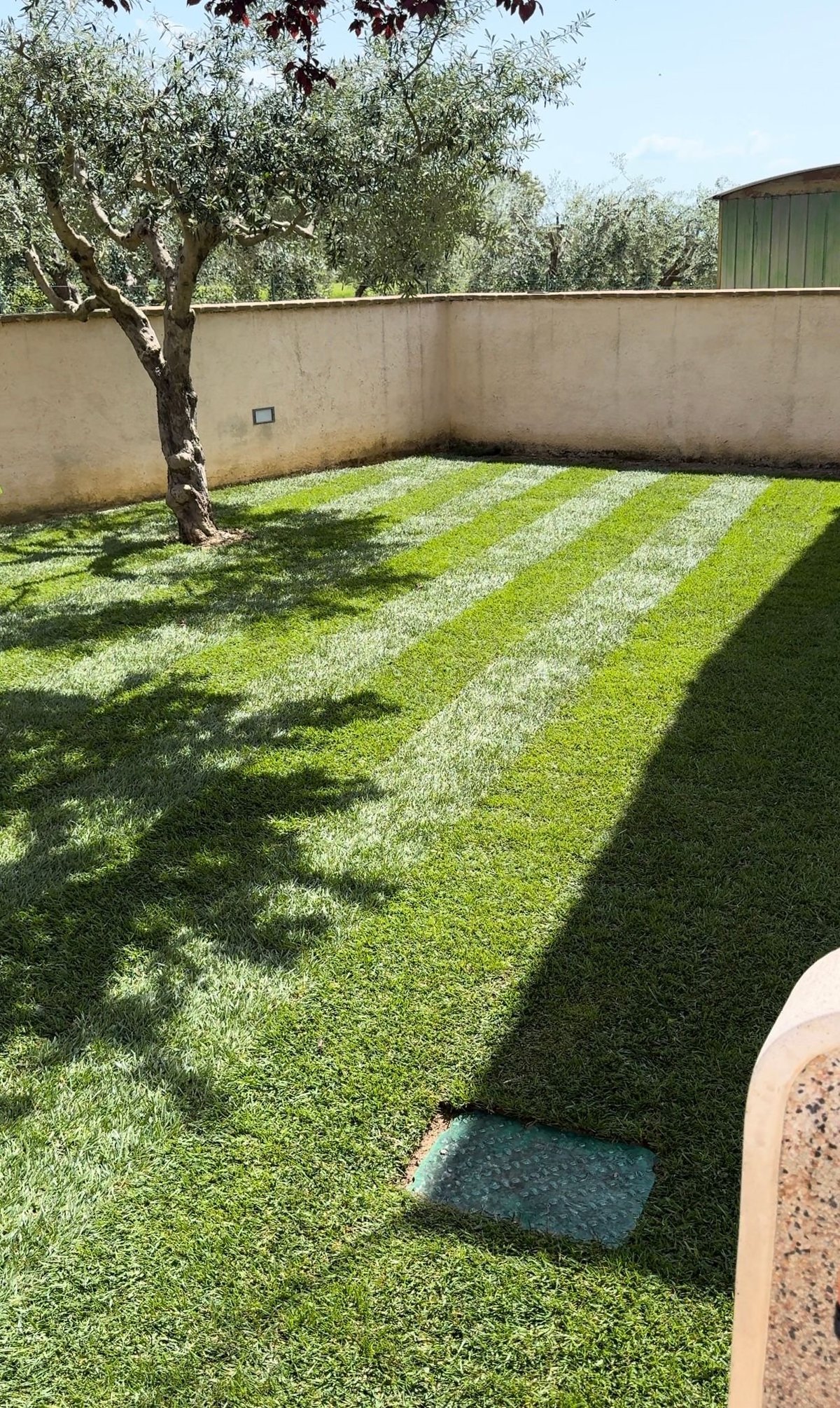 Giardino chiavi in mano con prato e staccionata