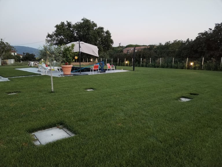 Partita di cornhole su prato verde con fienile e alberi al crepuscolo