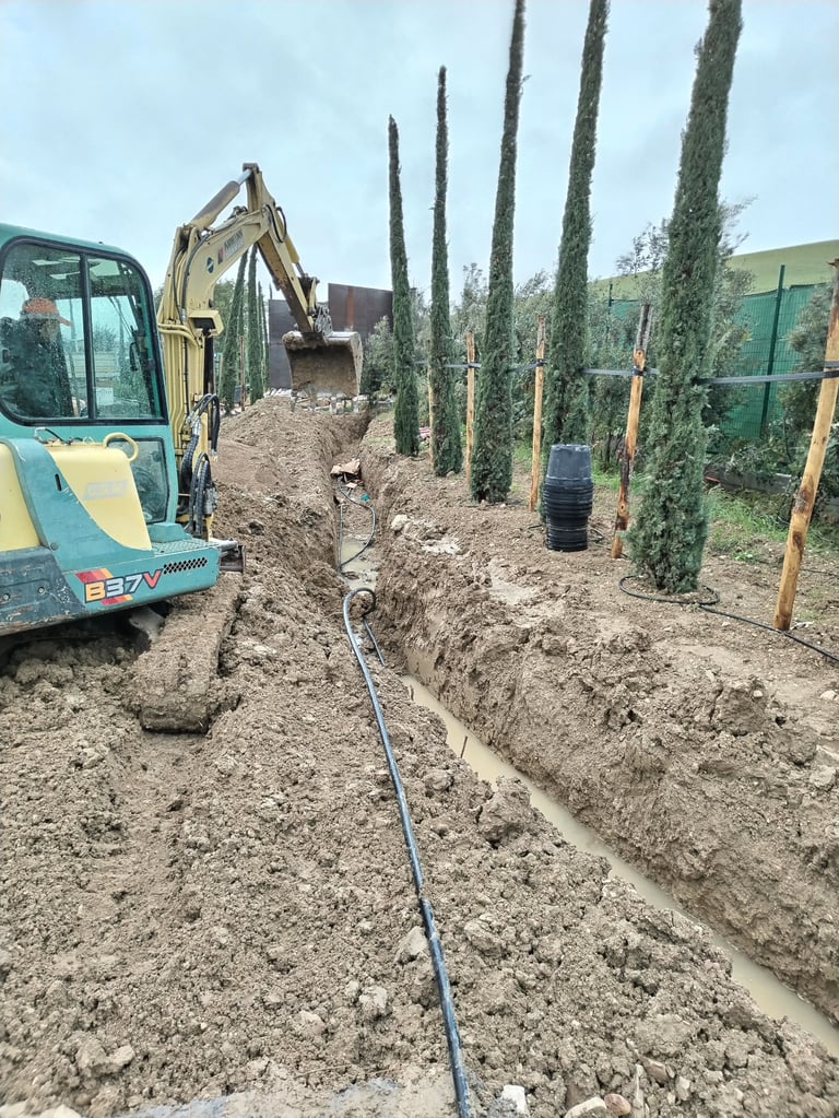 Escavatore che scava una trincea con tubo di irrigazione appoggiato tra cipressi